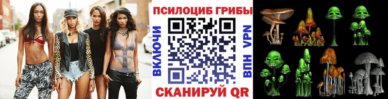 где купить наркоту  Суджа  blacksprut зеркало  Галлюциногенные грибы прущие грибы 